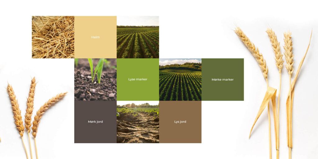 Halmselskabet farveunivers